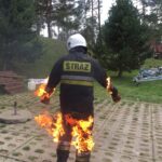 f1d42649-9f24-45a5-ba8c-900a5dd42708